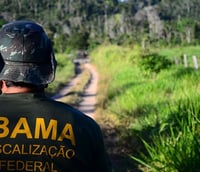 Servidor do Ibama durante uma fiscalização (Foto: Divulgação/Ibama)