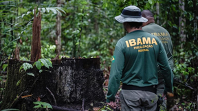 Concurso Ibama 2025: prepare-se com questões gratuitas