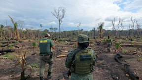 Concurso Ibama: cronograma está em fase de análise pela comissão