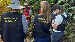 Concurso AFT: MTE negocia adesão ao edital nacional unificado