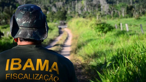 Concurso Ibama: veja nota de corte do analista ambiental